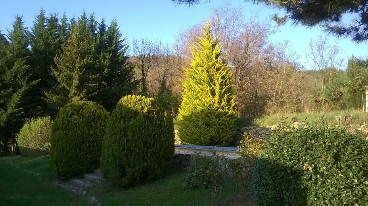 Canigou Lodge Vernet-les-Bains Luaran gambar