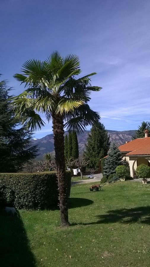 Canigou Lodge Vernet-les-Bains Luaran gambar